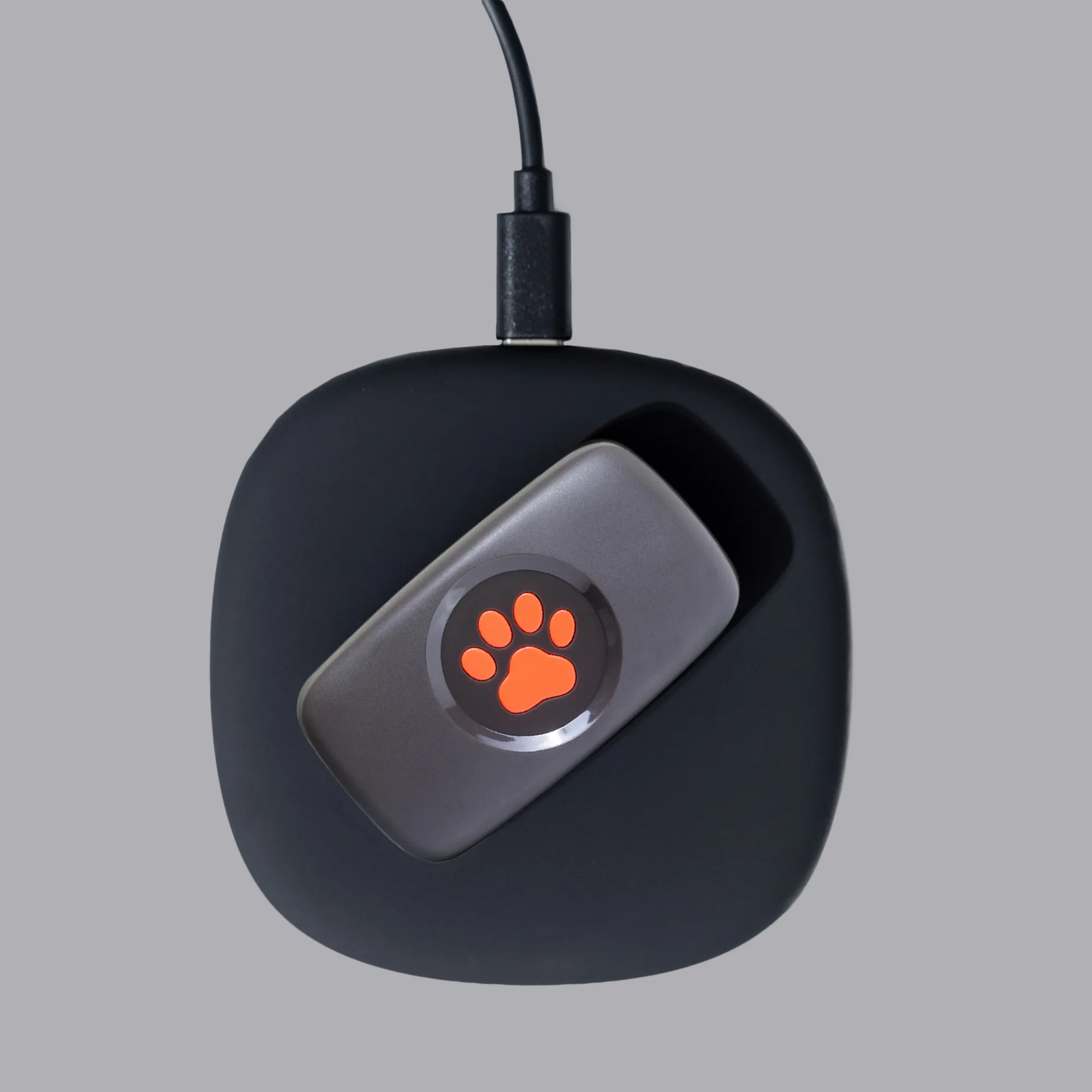 BLACK GPS_WEB IMAGES_4
