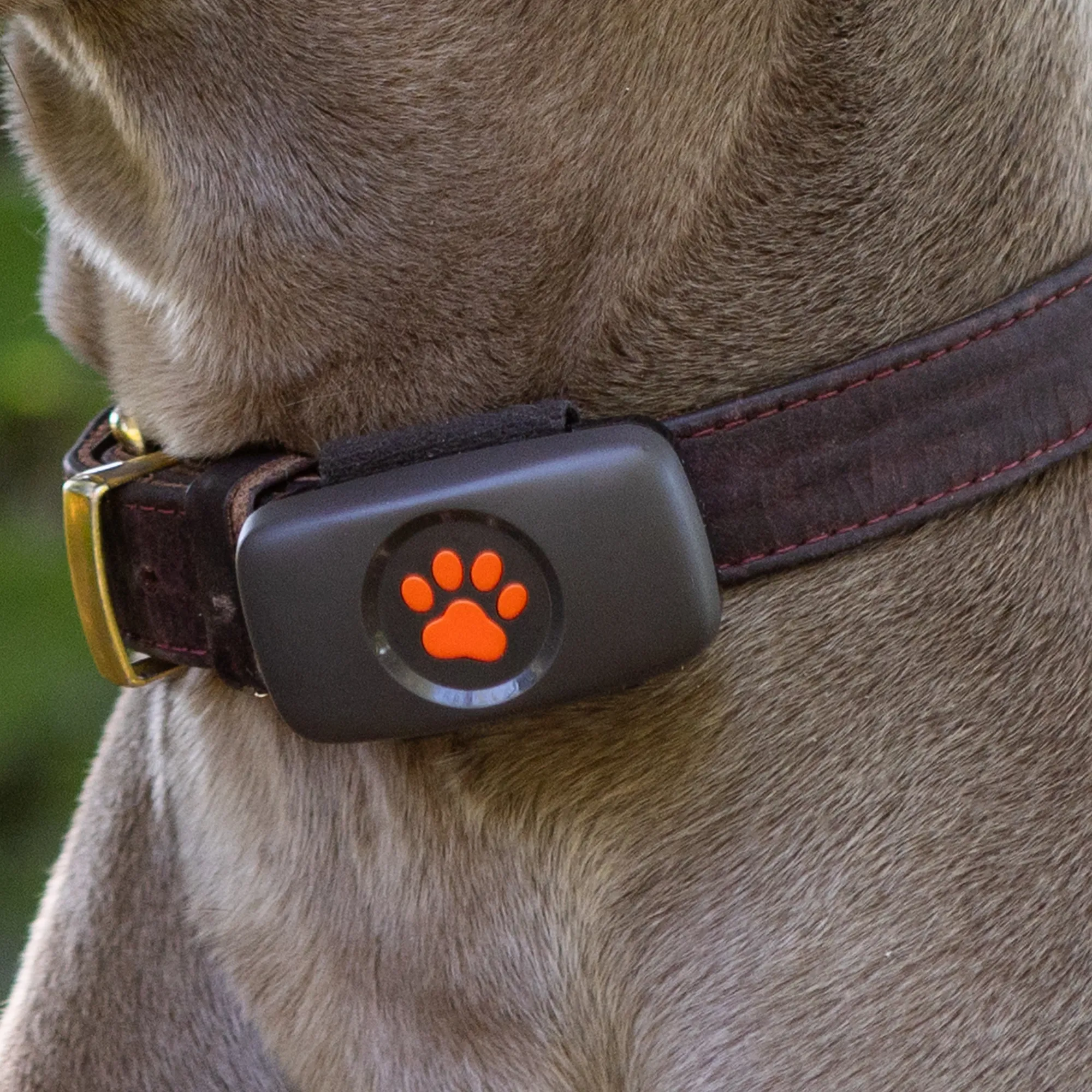 BLACK GPS_WEB IMAGES_3